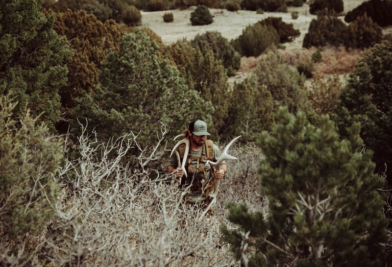 A Beginner's Guide To Shed Hunting image