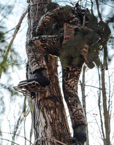 Nivor Bib field image