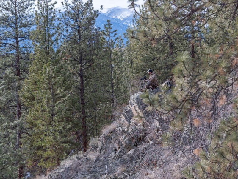 From Dream To Reality