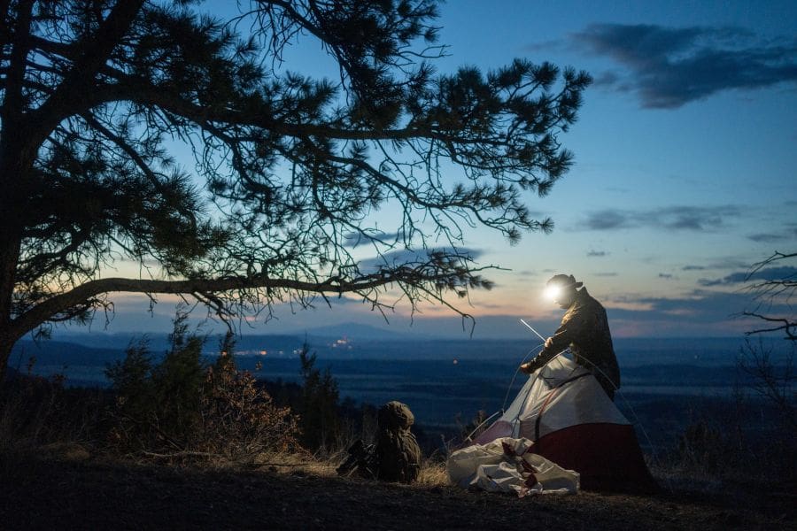 From Dream To Reality