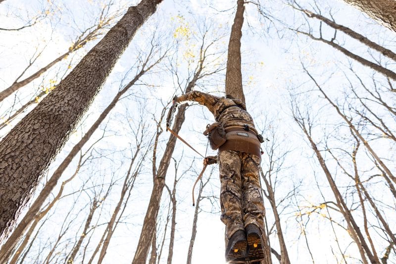 Whitetail Wear Of Distinction