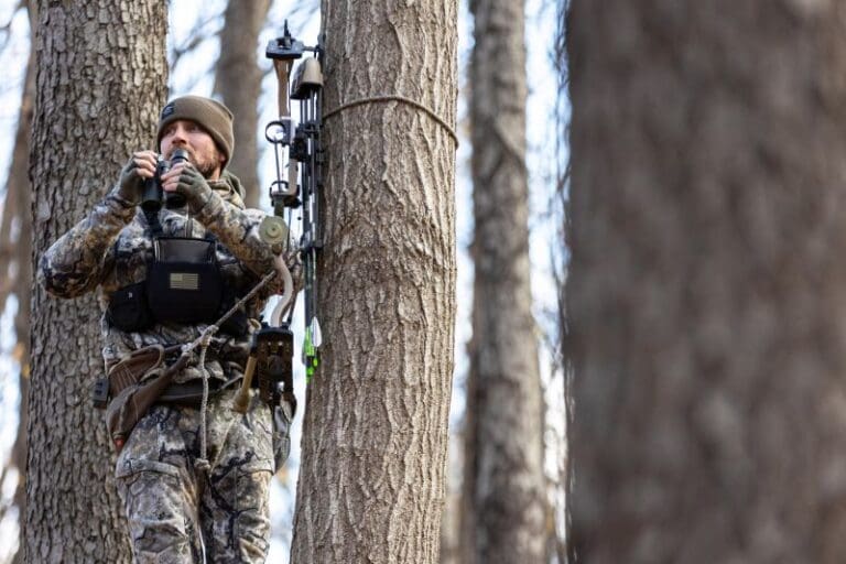 Whitetail Wear Of Distinction