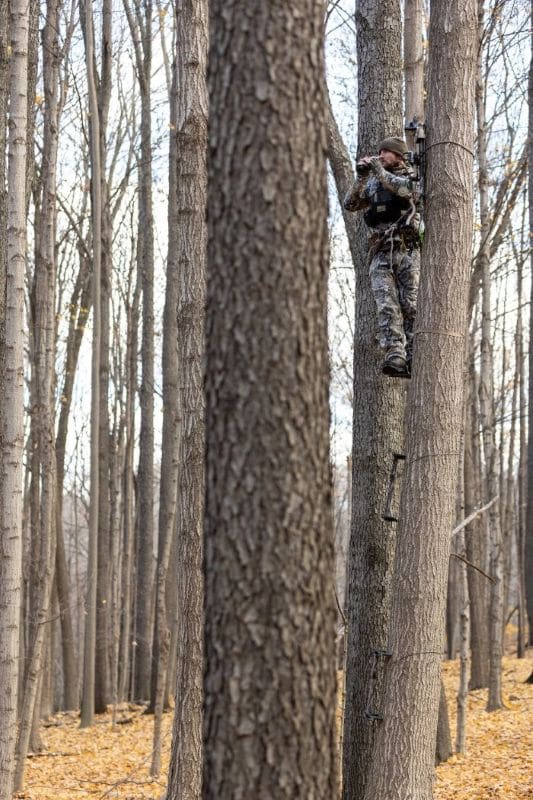 Whitetail Wear Of Distinction