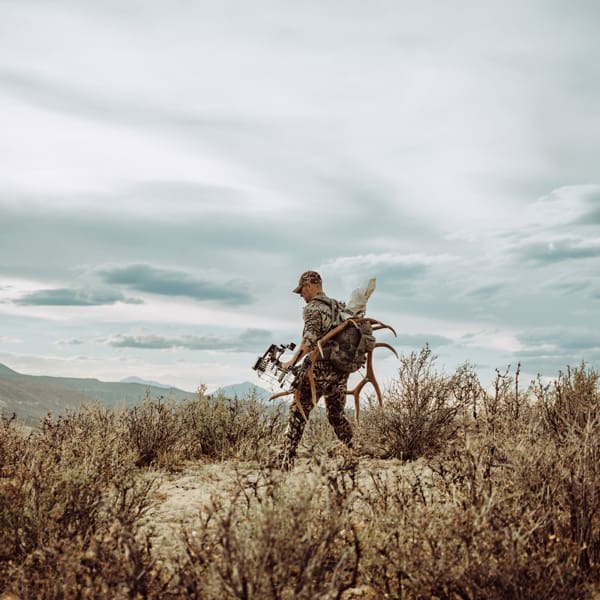 western big game