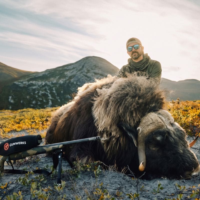 Raw Walrus, Giant Caribou And 4,000 Years Of Hunting