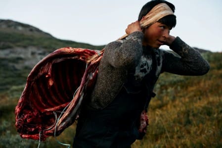 Raw Walrus, Giant Caribou And 4,000 Years Of Hunting